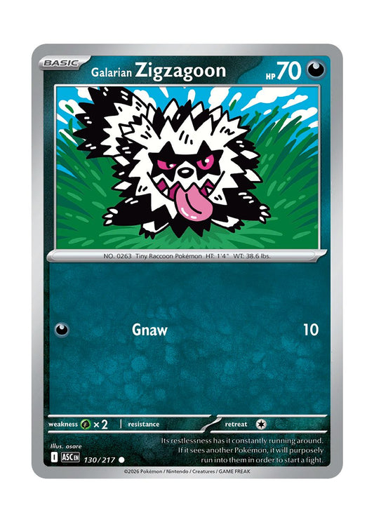 Galarian Zigzagoon (130/217) - Ascended Heroes