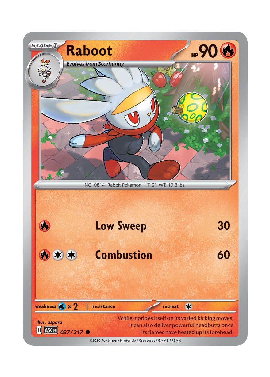 Raboot (037/217) - Ascended Heroes