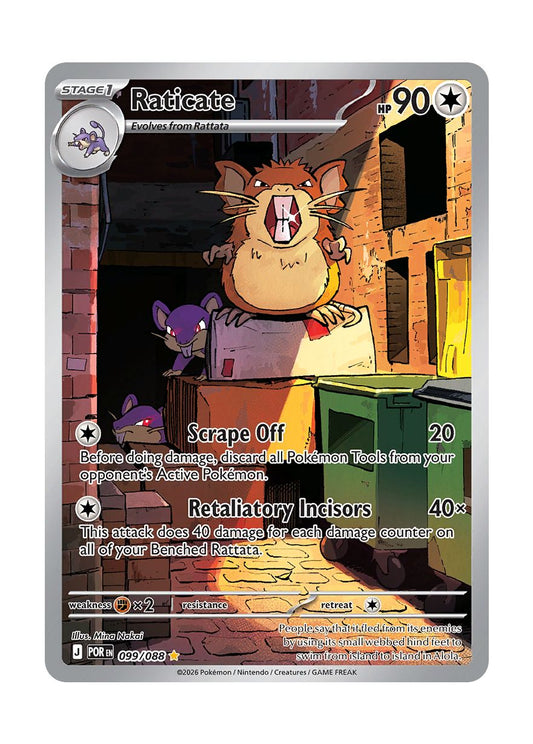 Raticate (099/88) - Perfect Order