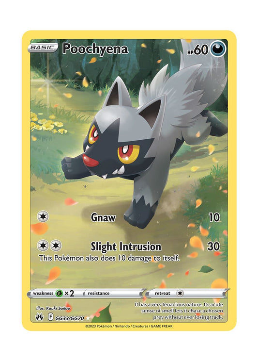 Poochyena (GG33/70) - Crown Zenith Galarian Gallery