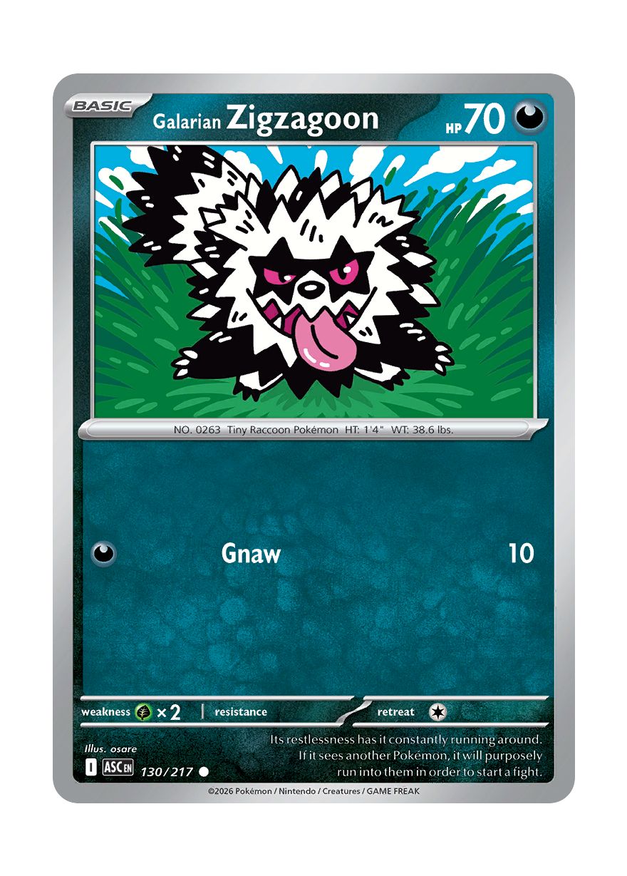 Galarian Zigzagoon (130/217) - Ascended Heroes