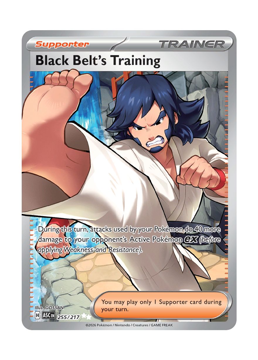 Black Belt's Training (255/217) - Ascended Heroes