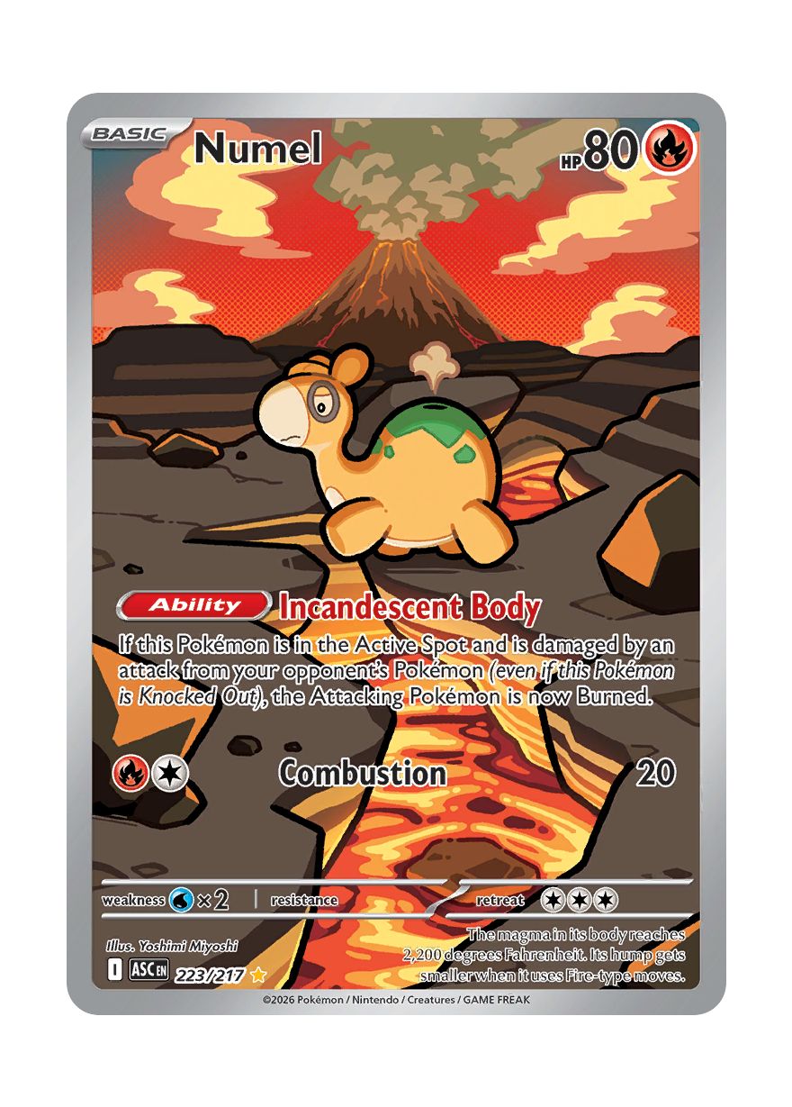 Numel (223/217) - Ascended Heroes