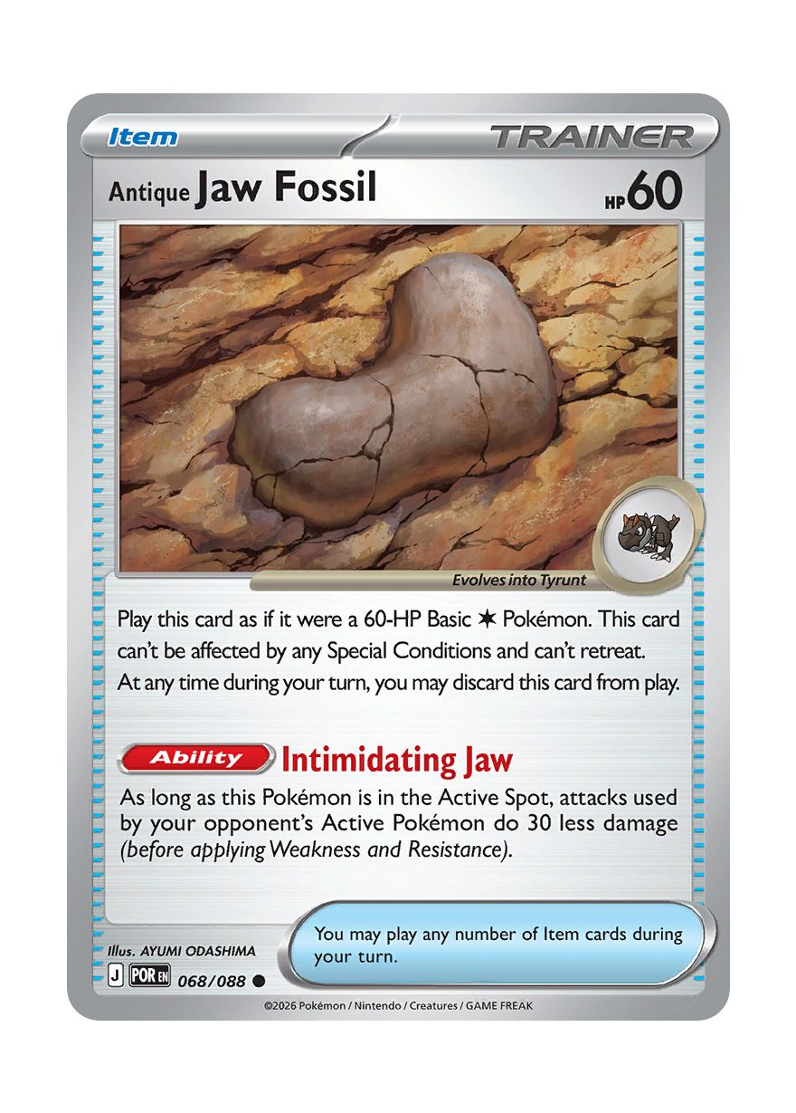 Antique Jaw Fossil (068/88) - Perfect Order