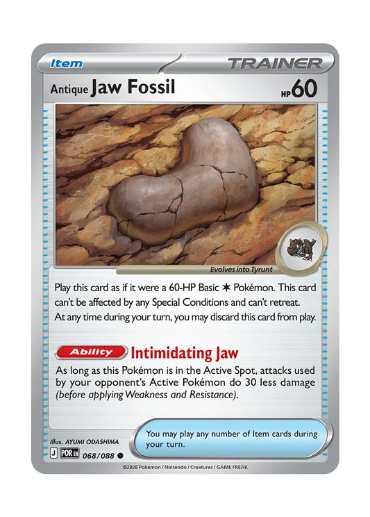 Antique Jaw Fossil (068/88) - Perfect Order
