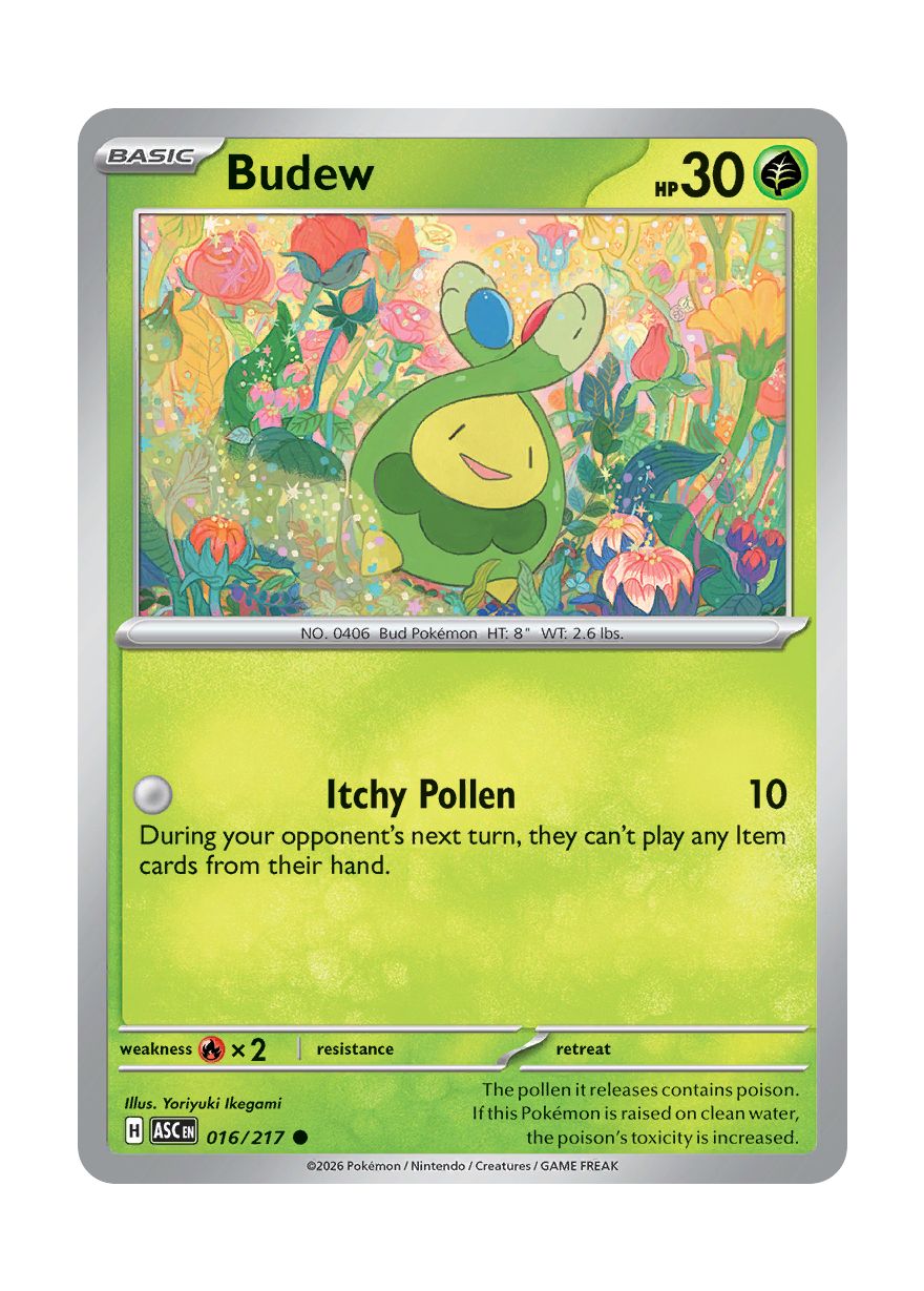 Budew (016/217) - Ascended Heroes