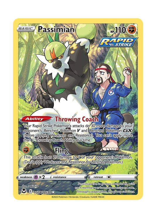 Passimian (TG08/30) - Silver Tempest Trainer Gallery